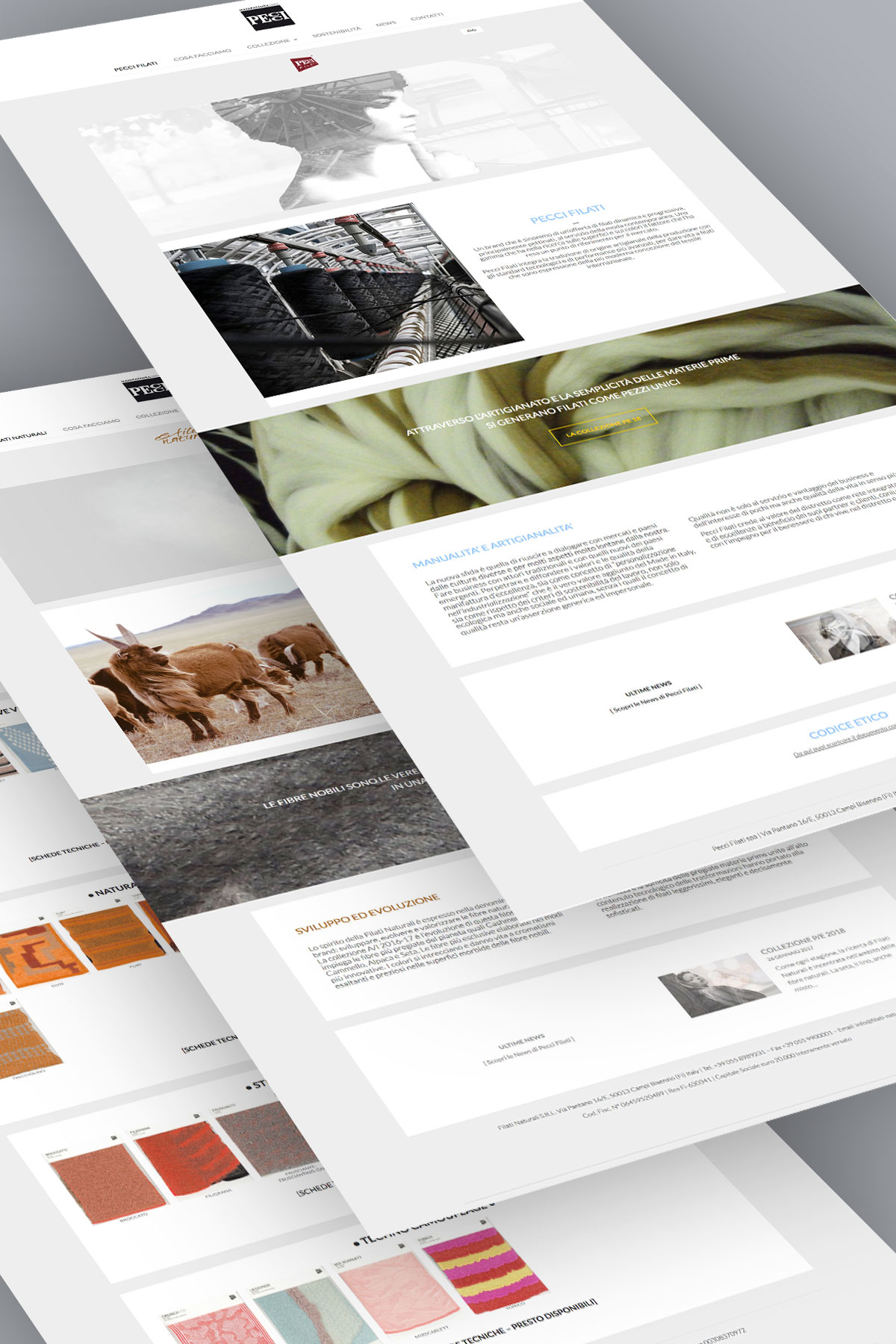 pecci-web-set